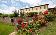 Farm Holiday with Pool Il Belvedere